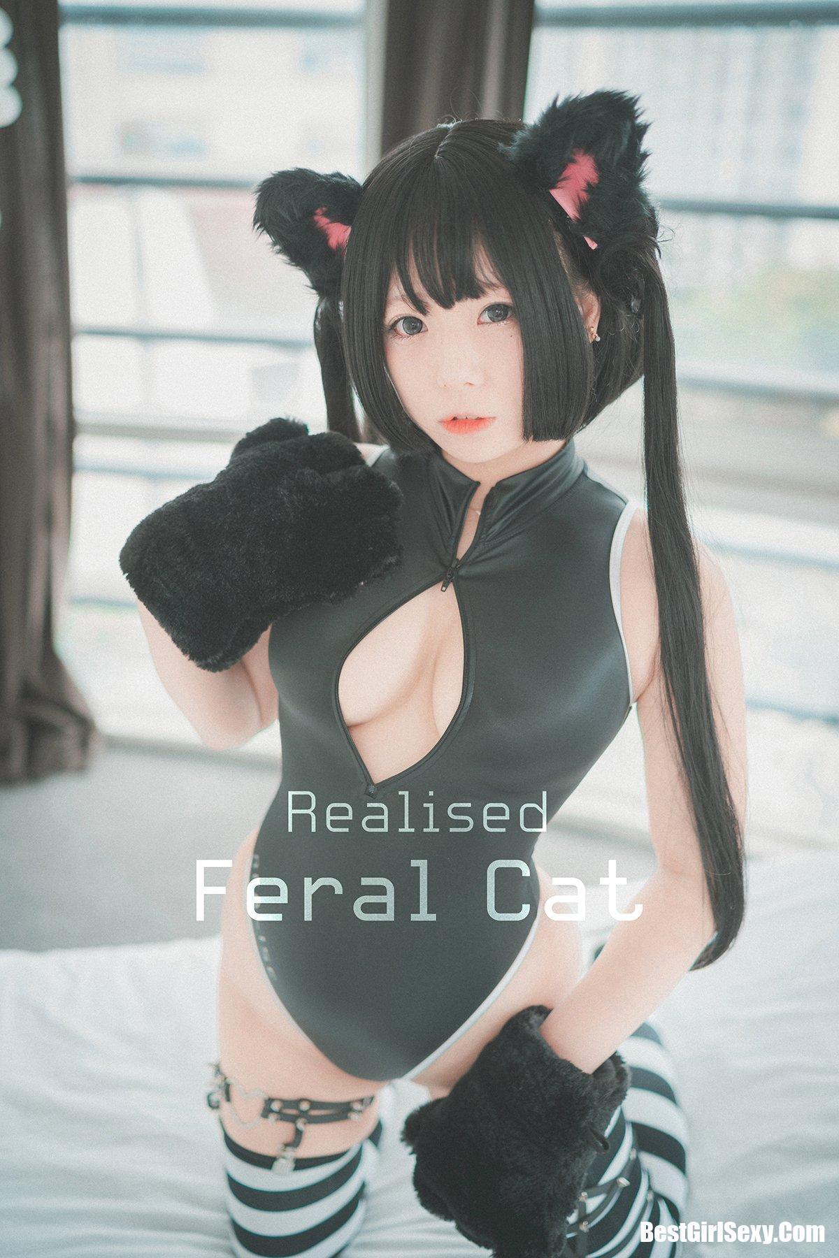 DJAWA 마루에몽 Realised Feral Cat-六月图吧