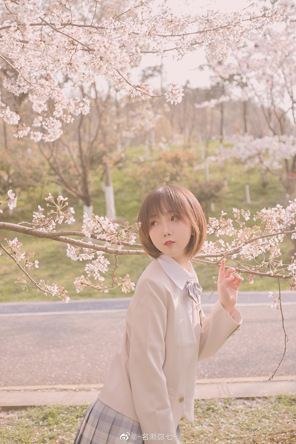 Coser@名濑弥七 Vol.003 樱花-六月图吧
