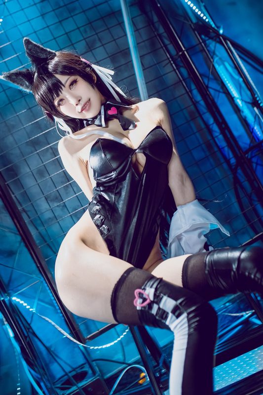 Coser@水淼Aqua Vol.054 碧蓝航线 爱宕犬 同人机车-六月图吧