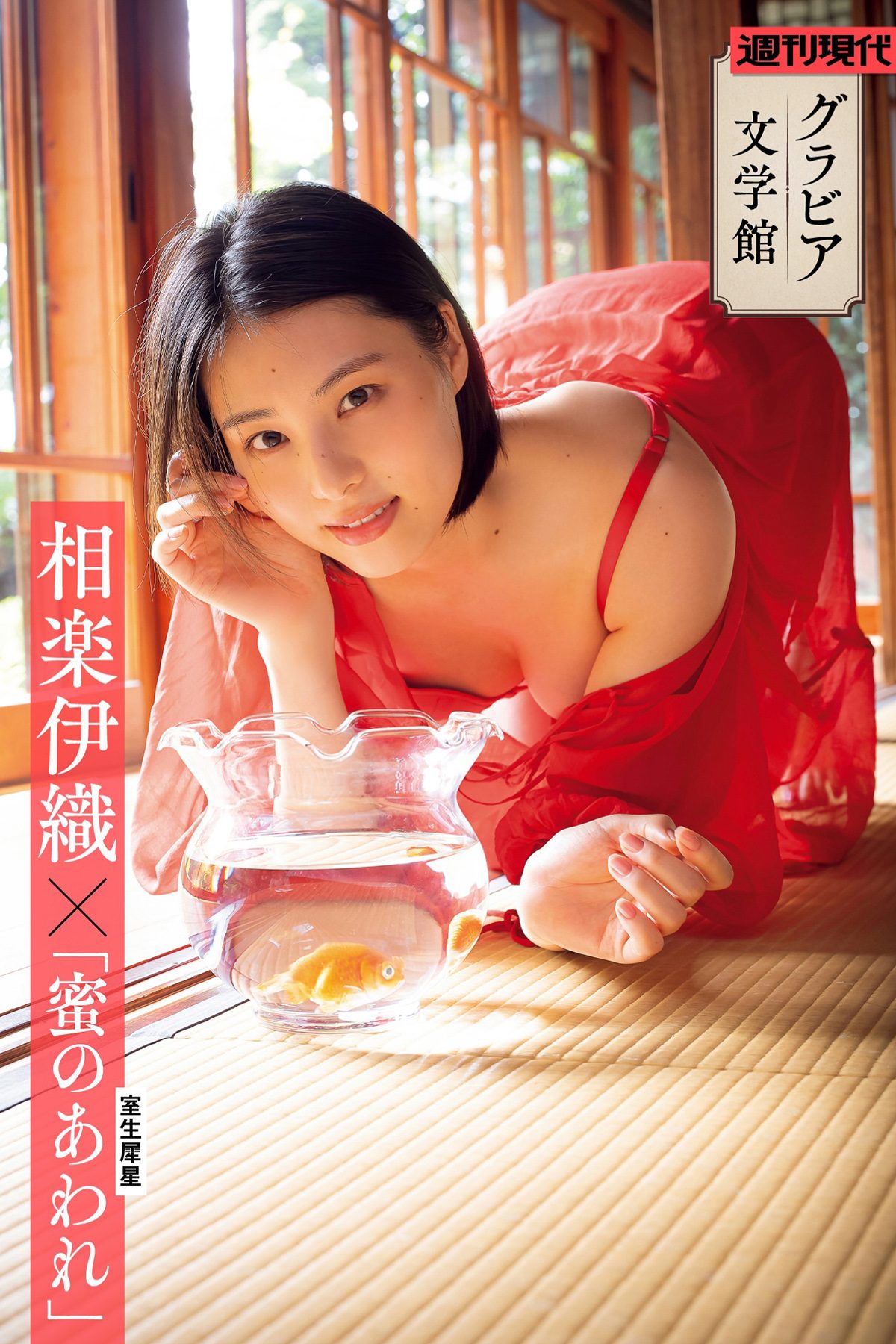 Sagara Iori 相楽伊織 x 室生犀星 蜜のあわれ-六月图吧