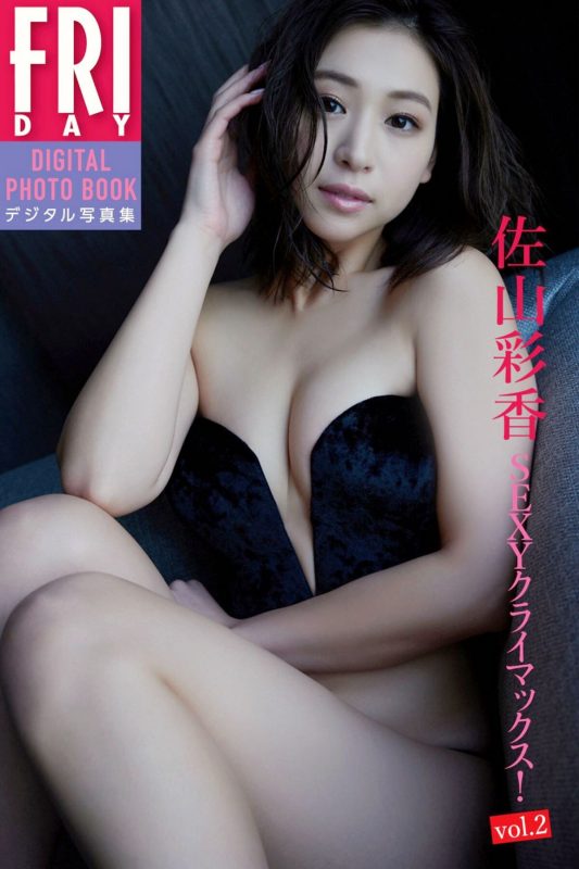 JP Ayaka Sayama 佐山彩香 – SEXYクライマックス Vol.2 (65P)-六月图吧
